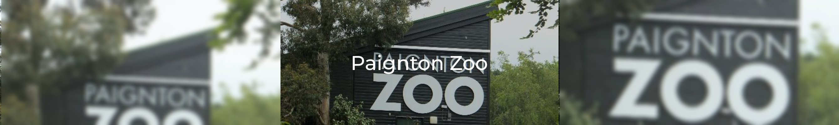 Paignton zoo